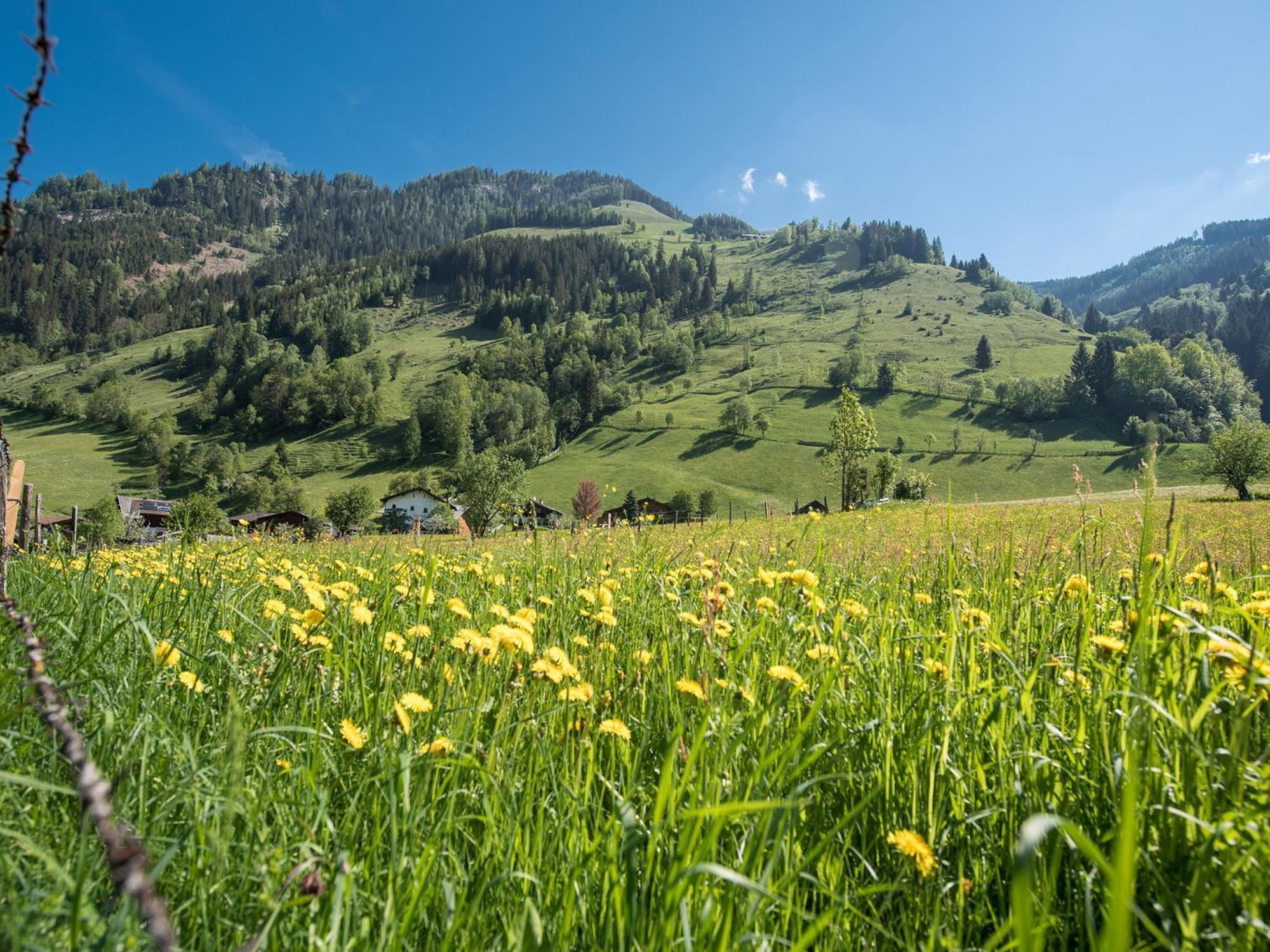 Appartement-Pension Fahrnberggut Rauris Kültér fotó