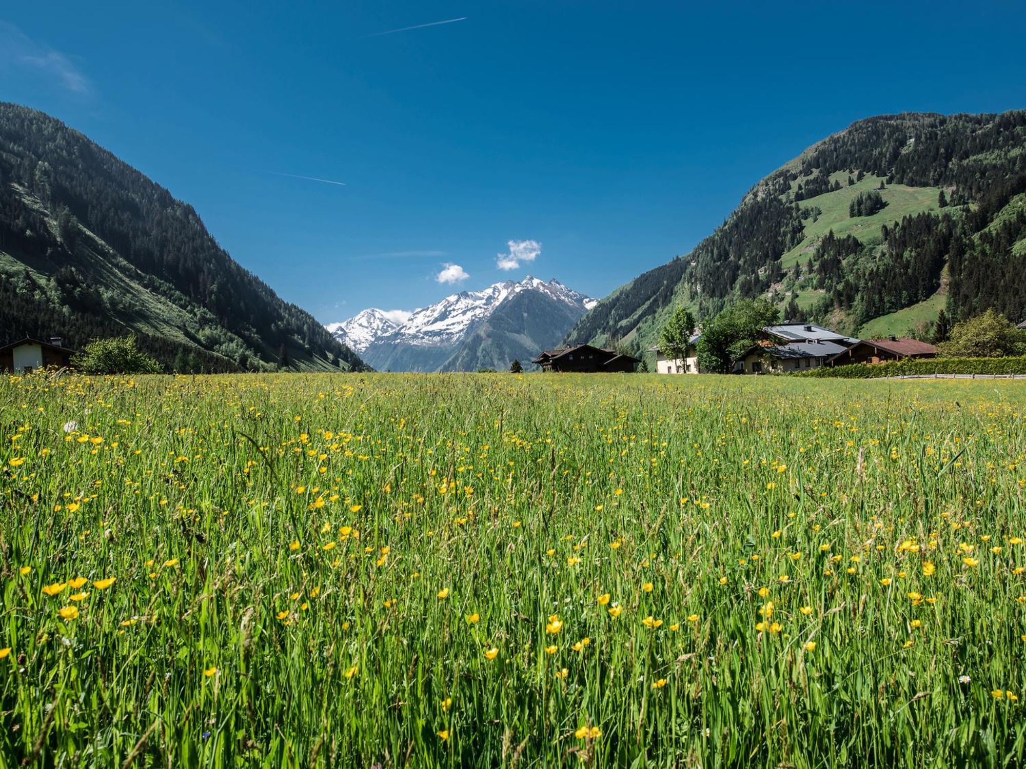 Appartement-Pension Fahrnberggut Rauris Kültér fotó